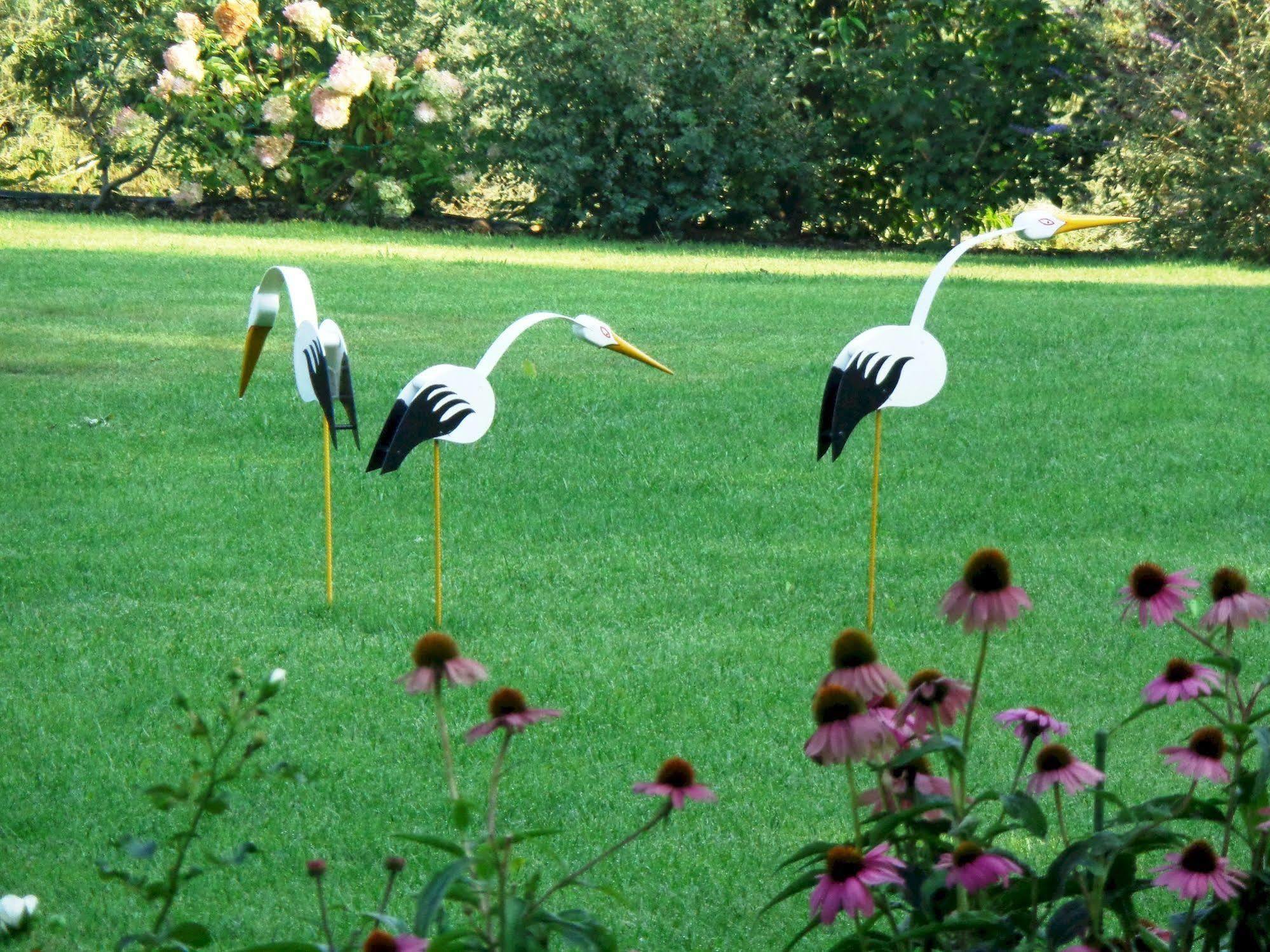 Bed and Breakfast Anima Mundi Curtatone Zewnętrze zdjęcie